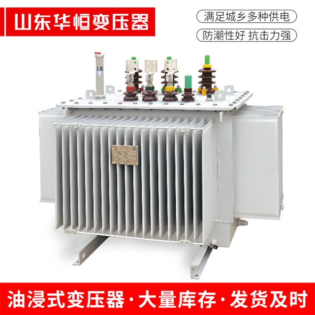 S13-10000/35永嘉永嘉永嘉电力变压器